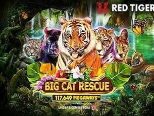 Big Cat Rescue Megaways™